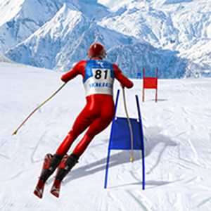 Slalom Ski Simulator 3D Online Arcade Game