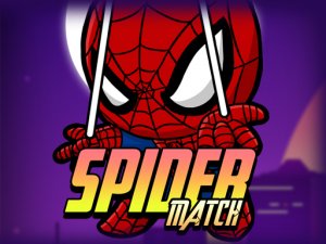 Spider Match Online Game Puzzle Adventure