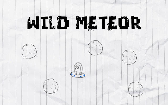Wild Meteor: Survival Precision Fighter