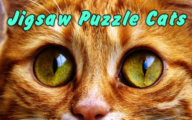 Jigsaw Puzzle Cats - Free Online Brain Game