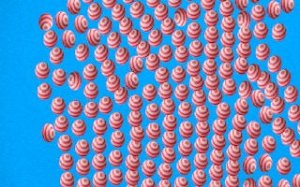 Bubble Bloom: Calm Chain Reaction