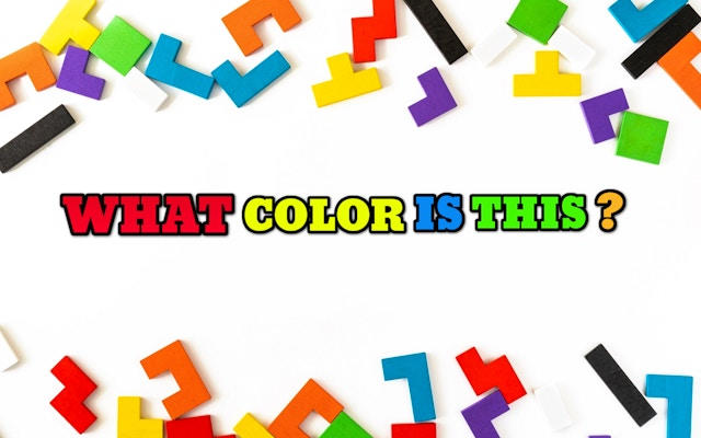 What Color Is This? - Fun Color Learning Game