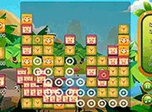 Wildlife Link Puzzle